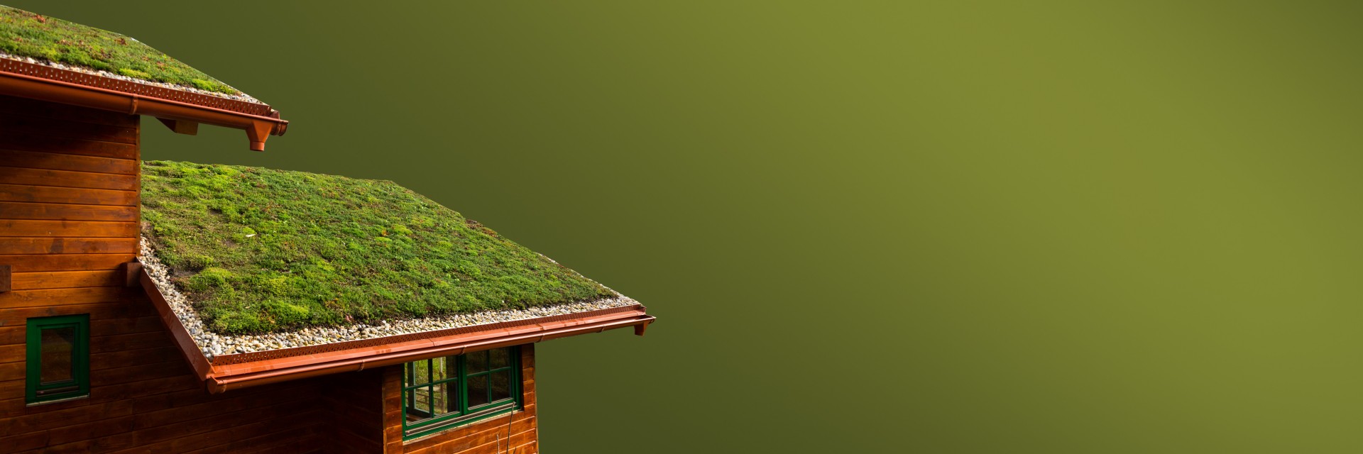 Zelená strecha